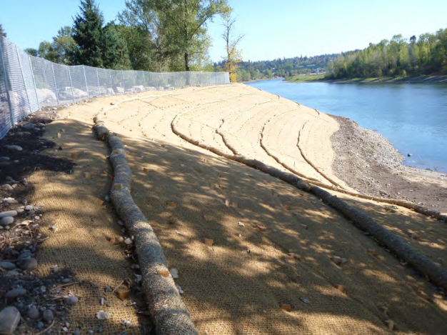 restored-bulkhead-area