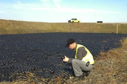 PDX Wildlife Team inspects Bird Balls in stormwater detention pond